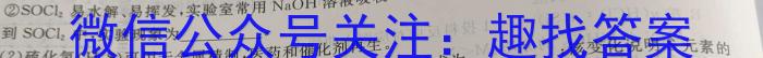 河北省七年级2023-2024学年度第二学期学业水平测试(#)化学