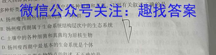 湖北省十堰市2024年高三年级元月调研考试(24-239C)数学