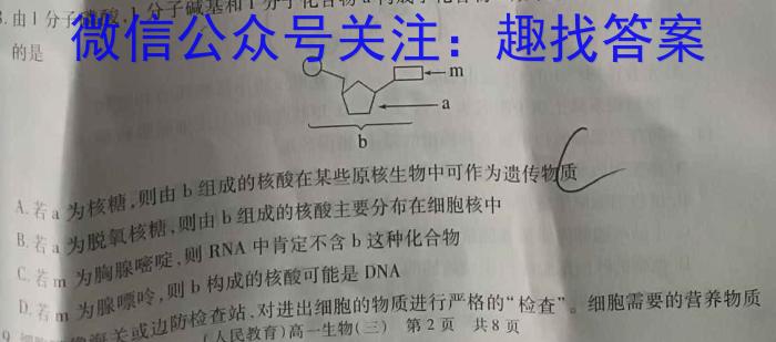 衡水名师卷 2024年高考模拟调研卷(新高考◇)(六)6生物学试题答案