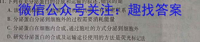 河南省2023-2024学年高二年级阶段性测试（期末考试）生物学试题答案