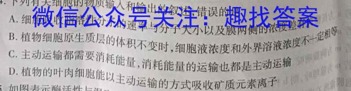 河北省2024石家庄十八县摸底联考数学