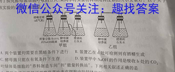 安徽省九年级2023-2024学年第二学期第一次绿色素质测试数学