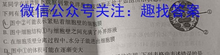 2024年河北省初中毕业生结业文化课检测（★）生物学试题答案