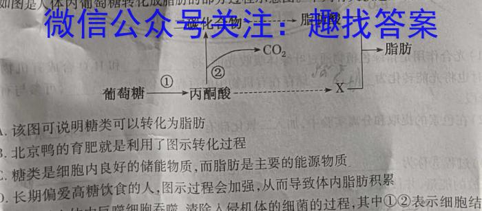 河南省2023-2024学年高一下学期期末考试生物学试题答案