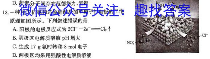 2024届江苏省新高考基地学校第五次大联考数学