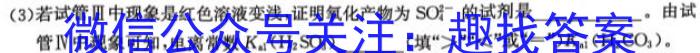 衡水金卷先享题调研卷2024答案(福建专版)二数学