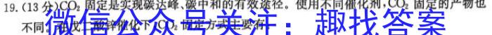 22024年陕西省初中学业水平考试全真模拟卷（四）化学