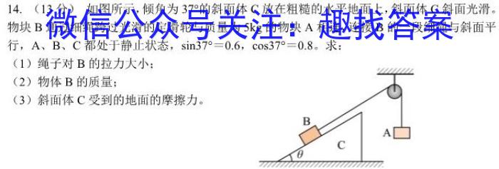 智慧之海·思维导航 2024年安徽省九年级学业挑战赛(两个倒三角)物理试卷答案