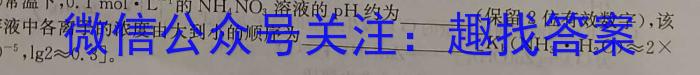 安徽省霍邱县2023-2024学年度八年级第二学期期中考试化学