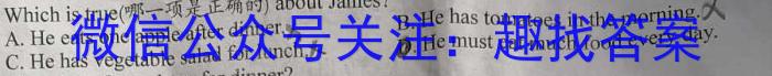 中考必刷卷·2024-2025学年安徽省九年级上学期开学摸底调研(9月)英语试卷答案