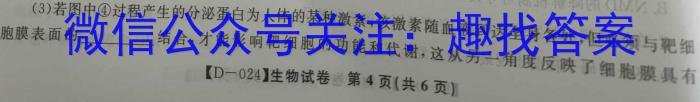 安徽省2023-2024第二学期七年级第一次调研生物学试题答案