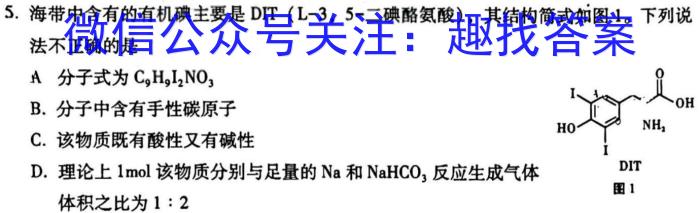 安徽省2024年九年级中考模拟预测（无标题）数学