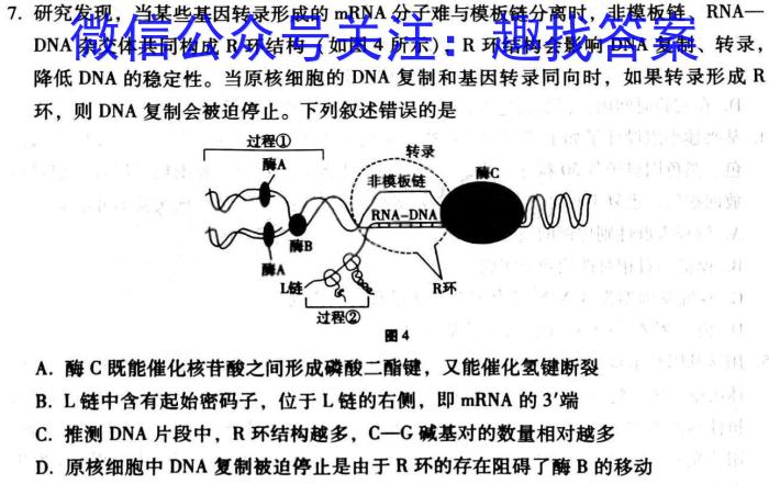 湖南省2024届高三一起考大联考(压轴一)数学