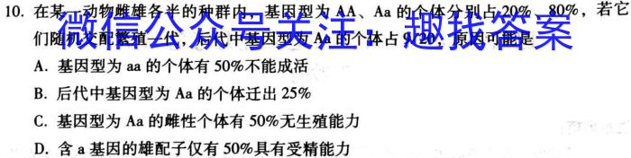 陕西省2024年九年级仿真模拟示范卷