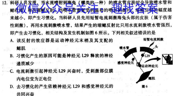 2024届辽宁省高三4月联考(24-404C)数学