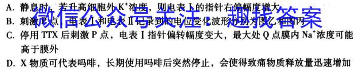 安徽省2023-2024学年度八年级教学期中考试（4.23）数学