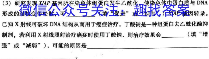 2024年河南省新高考信息卷(五)数学