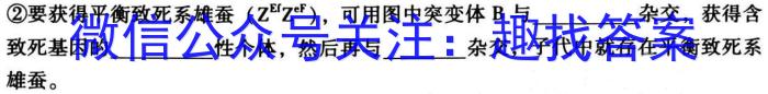 创优文化2024年陕西省普通高中学业水平合格性考试 模拟卷(一)英语