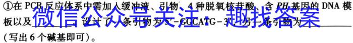 2024年普通高等学校招生全国统一考试 名校联盟 模拟信息卷(T8联盟)(六)生物学试题答案