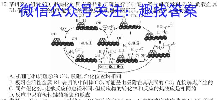 2024年河北省初中毕业生升学文化课考试冲刺试卷(五)数学