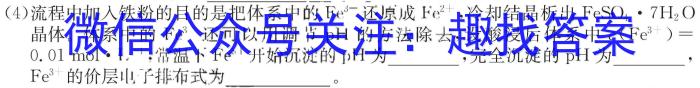 甘肃省武威市凉州区2024-2025学年高三第一次质量检测考试化学