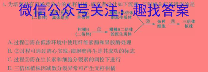[宝鸡三模]陕西省2024年宝鸡市高考模拟检测(三)3数学h