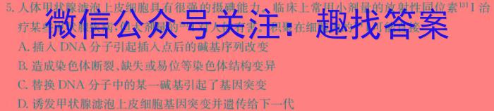 安徽省2024年中考模拟示范卷（三）数学