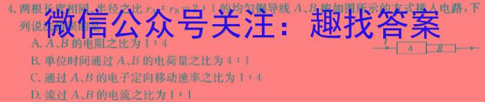 河南省2024年内黄县九年级适应性测试试卷物理`