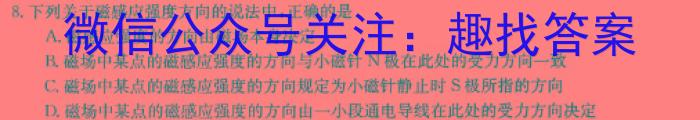 湖北省2024年云学名校联盟高二年级4月期中联考h物理