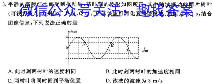 2024届陕西省七年级学业水平质量监测(双倒三角形)物理试卷答案