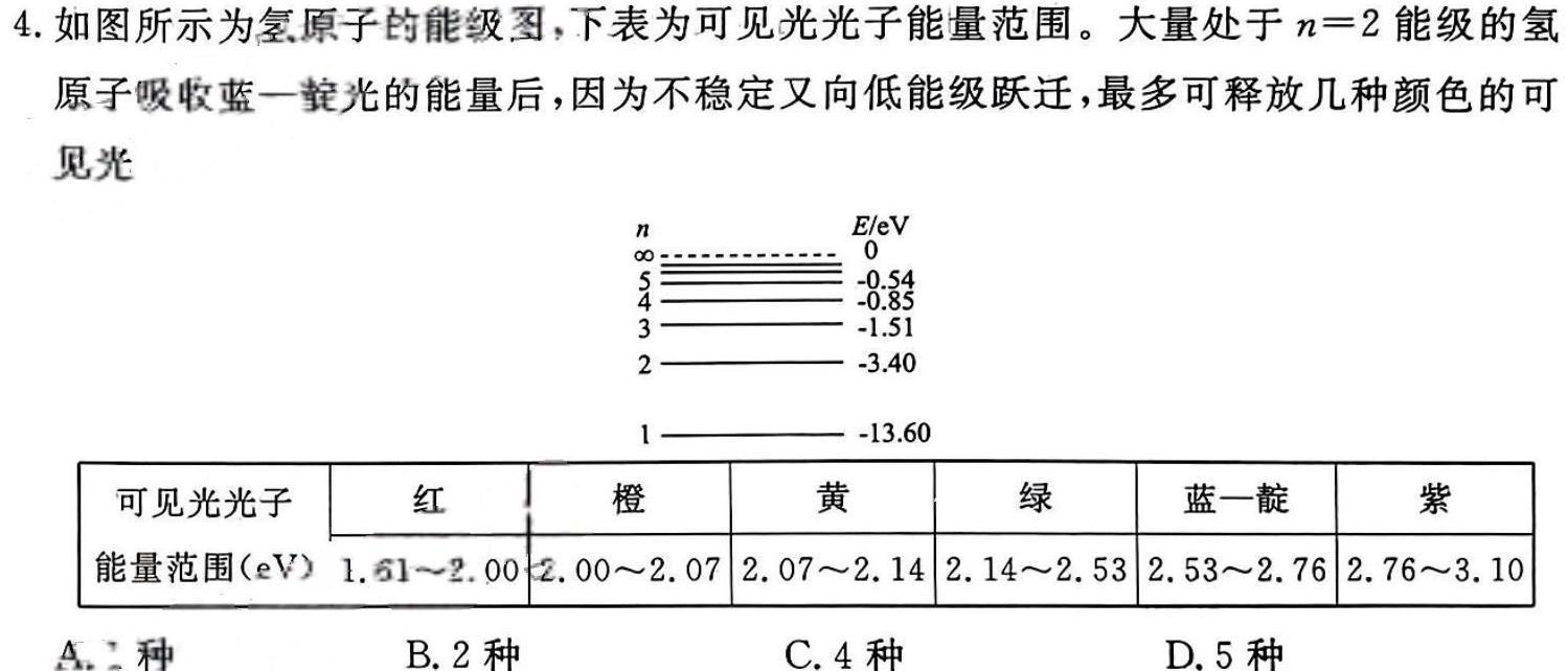 辽宁沈文新高考研究联盟2024-2025（上）12月月度质量监测（高三）-(物理)试卷答案