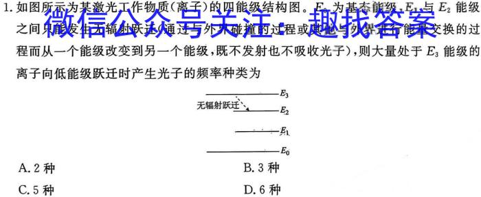 林芝市2024届高三第一次模拟考试物理`