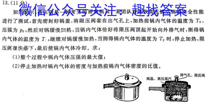 2024年湖南省高三名校联考模拟卷(三)物理试卷答案