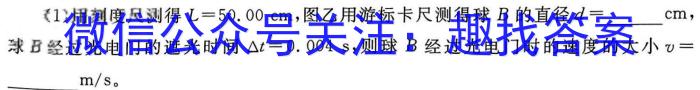 2024年葫芦岛市普通高中高三第一次模拟考试物理