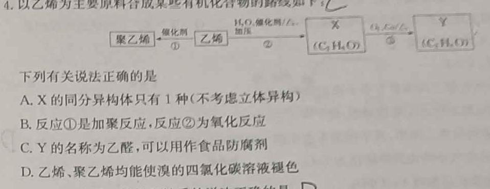 1河北省沧县2023-2024学年度第二学期七年级期末教学质量评估化学试卷答案