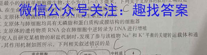 陕西省2024年凤翔区初中学业水平第二次模考卷数学