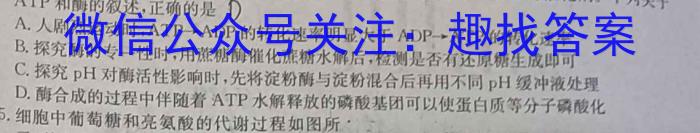 河南省2023-2024学年高二下学期第一次月考(24-378B)数学