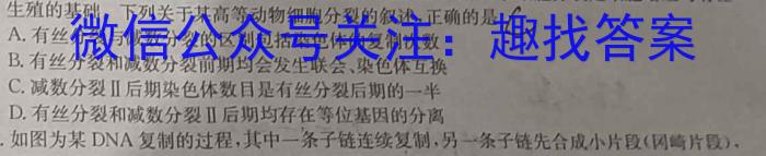 四川省攀枝花市2023-2024学年度(上)高二普通高中教学质量监测(2024.1)生物学试题答案