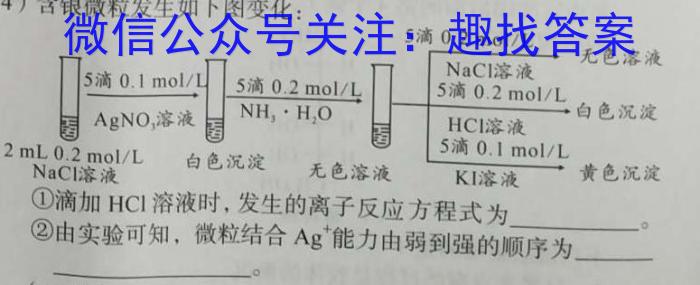 2024届河南省高三无标题考试(4.14)数学