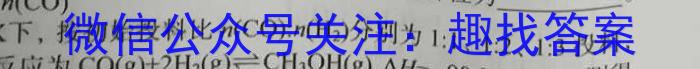 江苏省常州市第一中学2023-2024学年高三第二学期期初检测卷化学