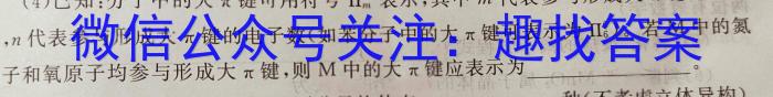 安徽省2024届下学期九年级开学考试（无标题）化学