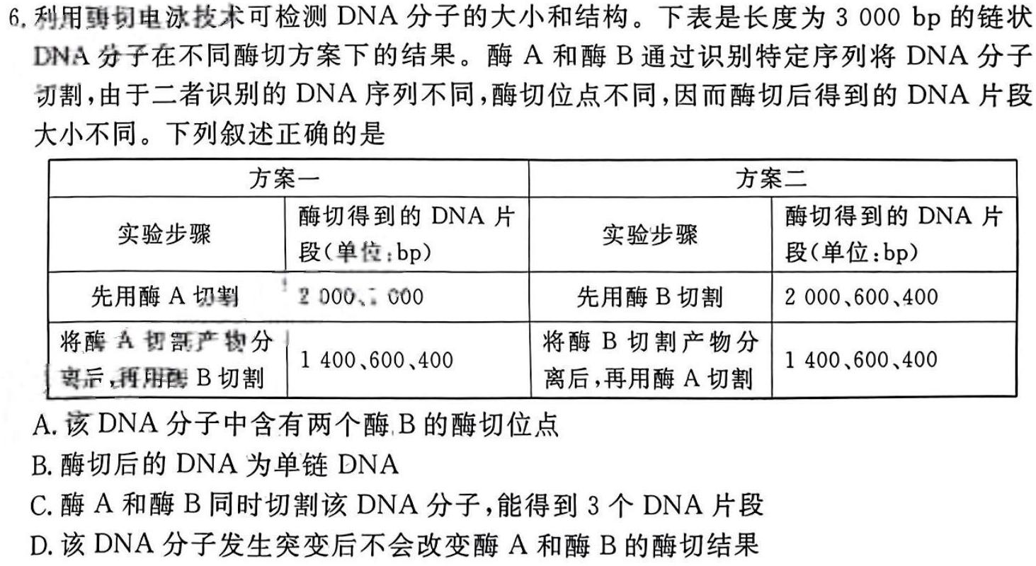[沈阳一模]2024年沈阳市高中三年级教学质量监测(一)生物