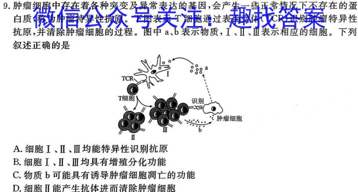 2024-2025学年第一学期甘肃省武威十一中联片教研九年级开学考试数学