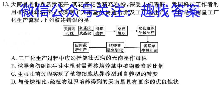 陕西省汉中市2023-2024学年度第二学期八年级期末教学质量检测生物学试题答案