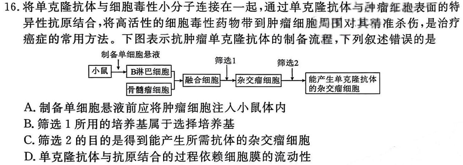 河南省2023~2024学年高一下学期期中测试卷生物