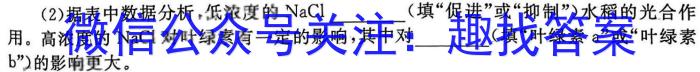 安徽中考2024年九年级监测试卷(5.24)数学