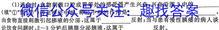 河南省2024年高二年级春期六校第二次联考数学