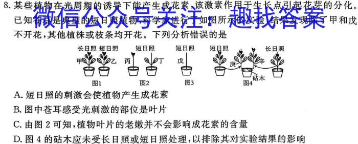 炎德英才大联考 湖南师大附中2023-2024学年度高一第二学期第一次大练习数学