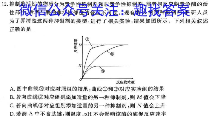 湖南天壹名校联盟·2024年上学期高一3月大联考数学