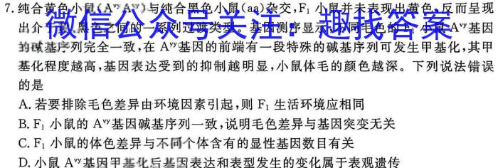 智ZH 河南省2024年中招模拟试卷(七)7生物学试题答案